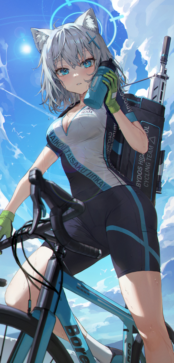 This is a pixiv picture whose title is シロコ.