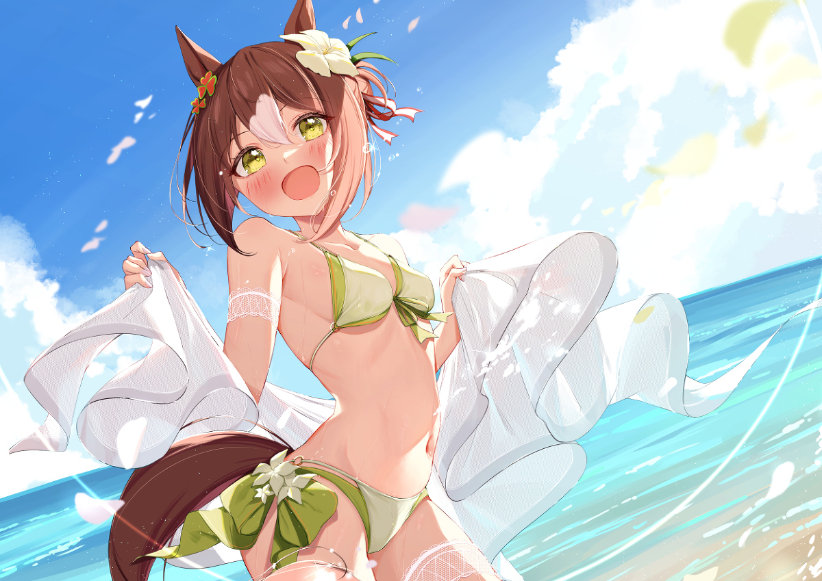 This is a pixiv picture whose title is 水着ファイン！①.