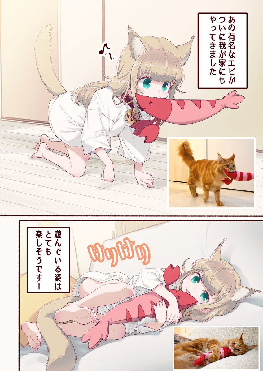 This is a pixiv picture whose title is エビときなこ🐈🐾.