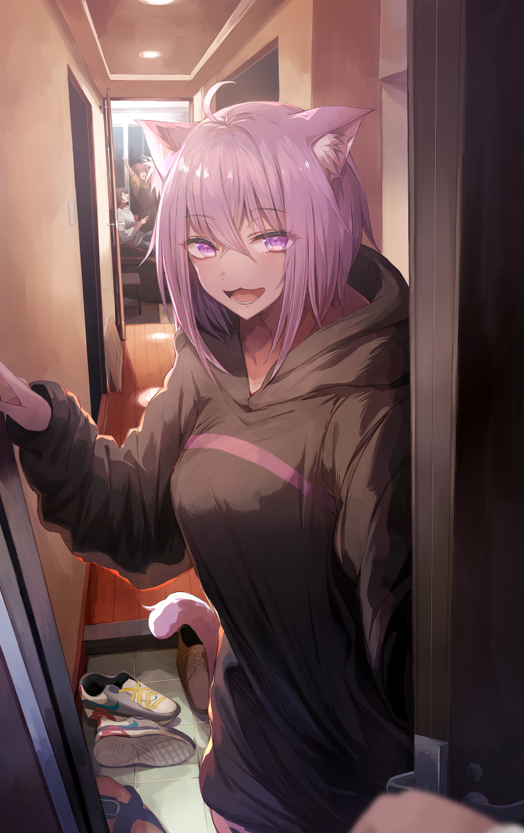 This is a pixiv picture whose title is door.