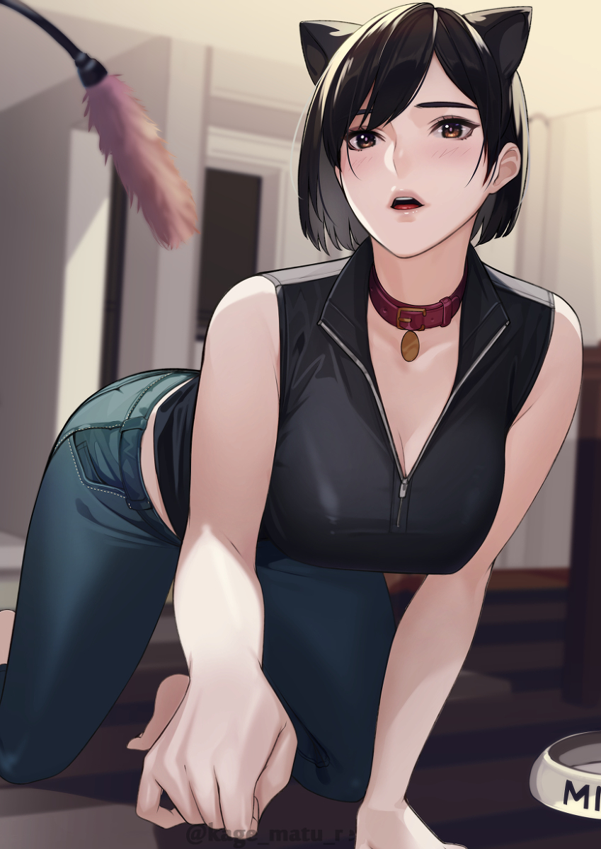 This is a pixiv picture whose title is 猫さん.