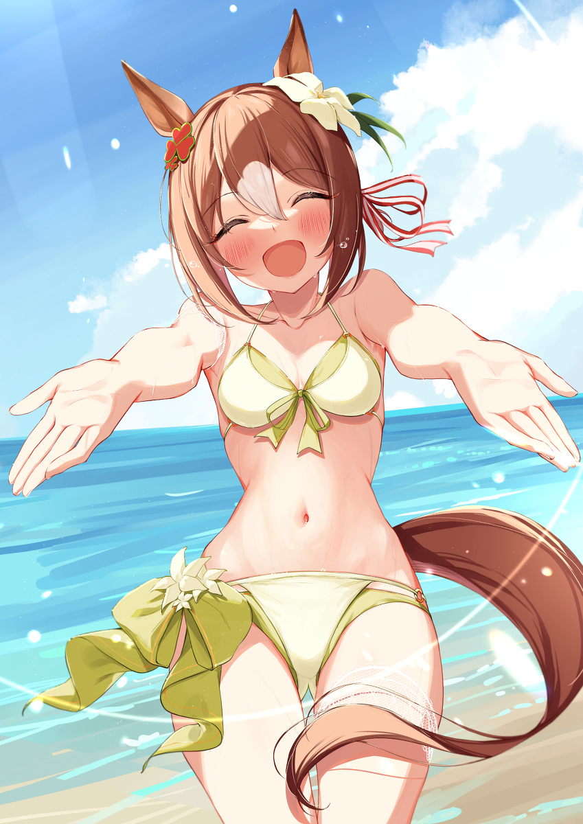 This is a pixiv picture whose title is 水着ファイン！②.