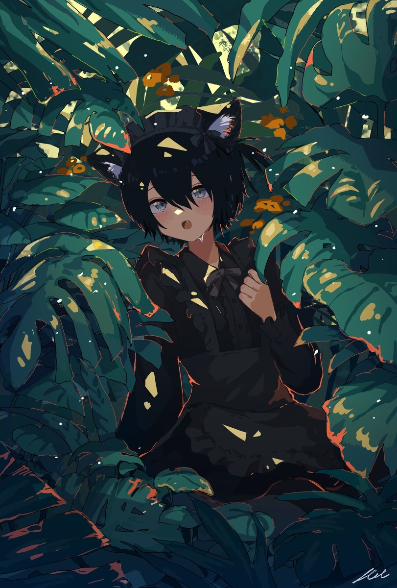 This is a pixiv picture whose title is クロぬこ.