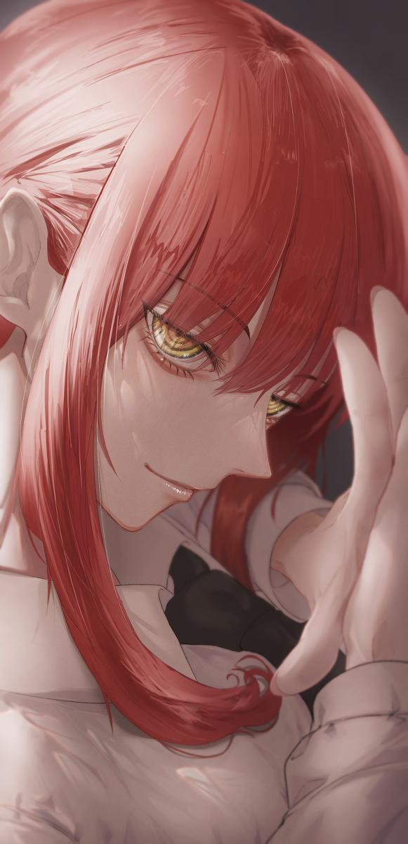 This is a pixiv picture whose title is マキマ.