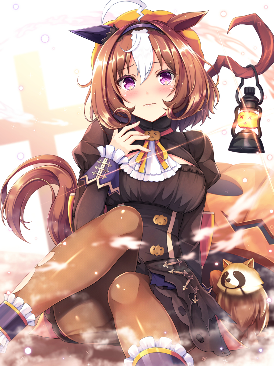 This is a pixiv picture whose title is ハロウィンの日を一日間違えたメイショウドトウ.