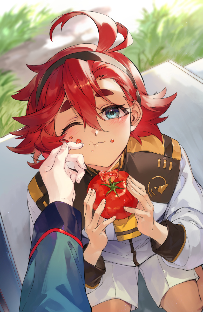 This is a pixiv picture whose title is 🍅.