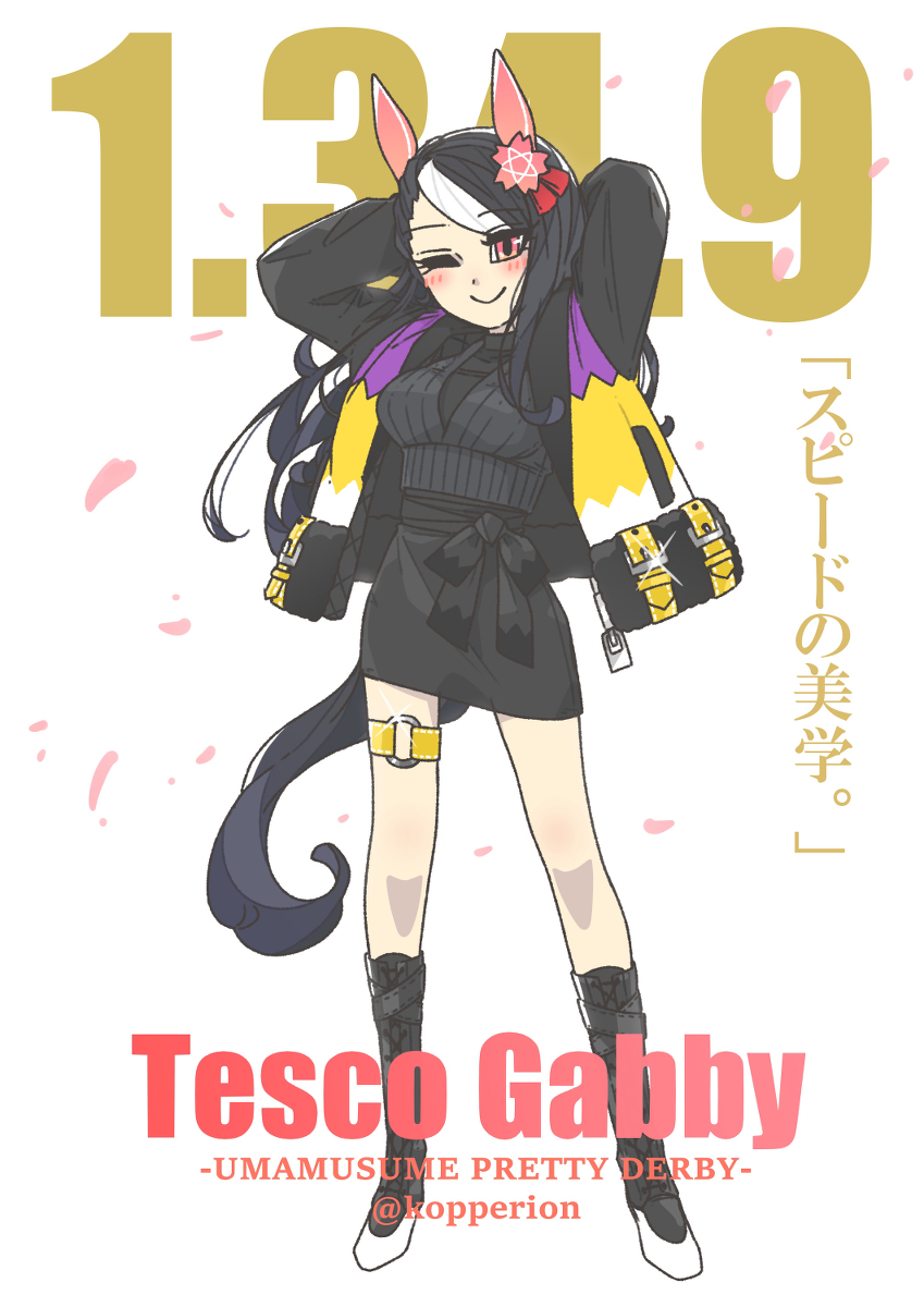 This is a pixiv picture whose title is "スピードの美学".