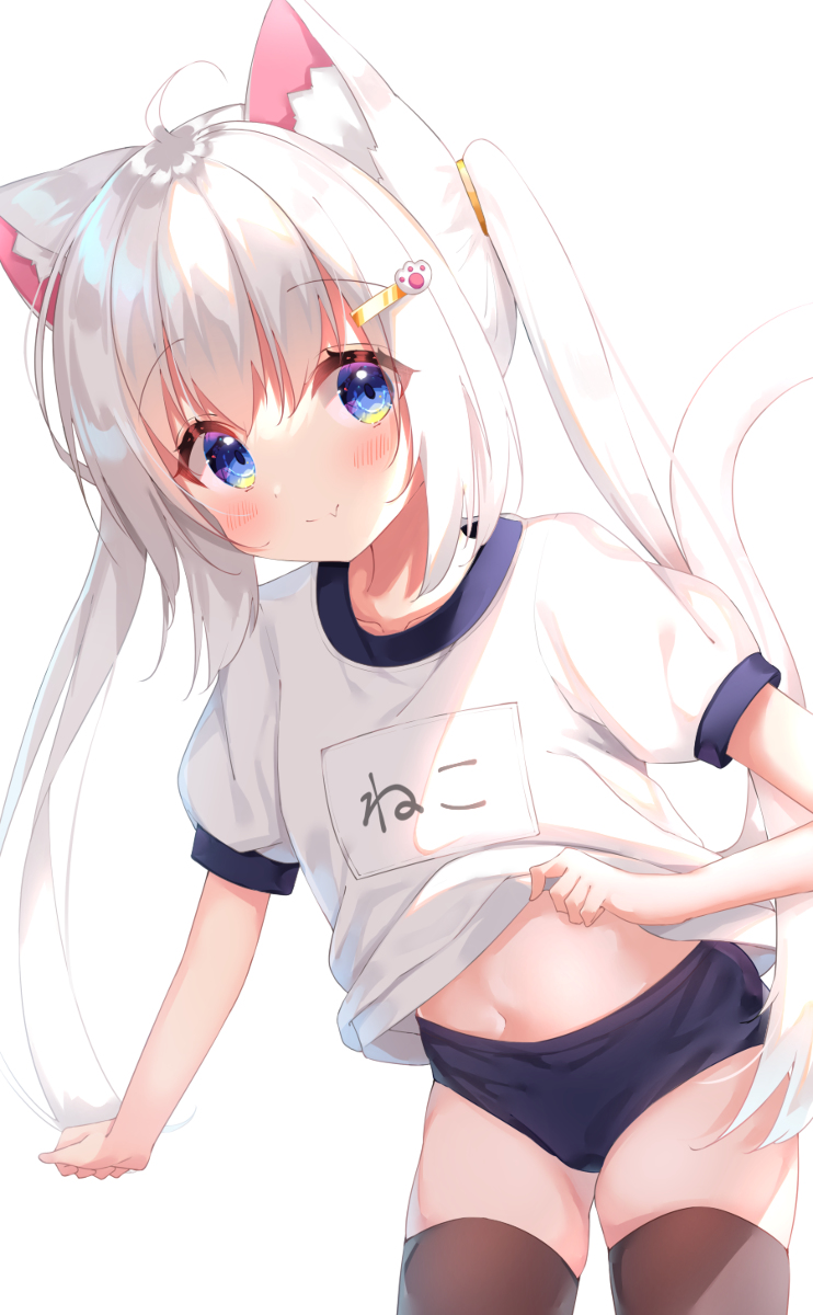 This is a pixiv picture whose title is チラ見せブルマネコちゃん.