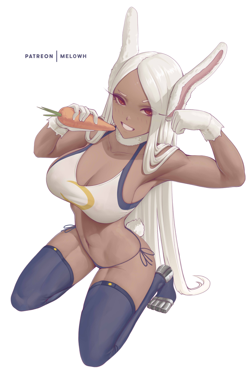 This is a pixiv picture whose title is Mirko.