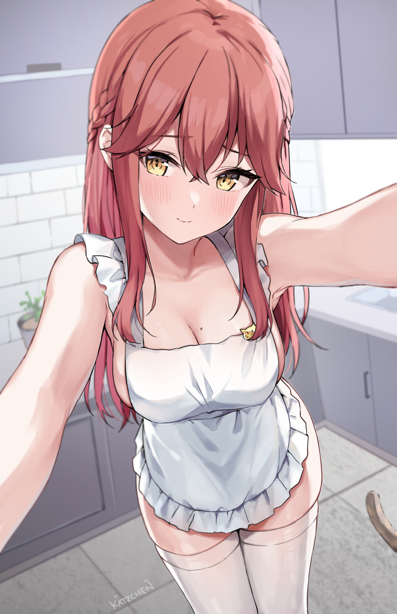 This is a pixiv picture whose title is 「晩ごはん用意するね~」.