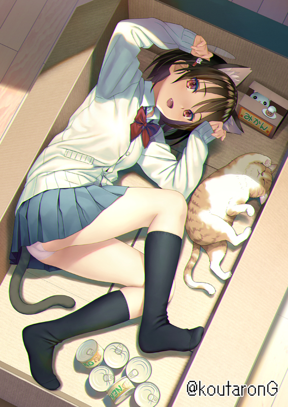 This is a pixiv picture whose title is 動物シリーズ　箱に入るのが好きな猫.