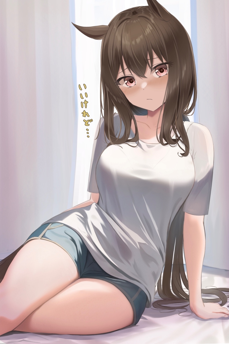 This is a pixiv picture whose title is アヤベ.