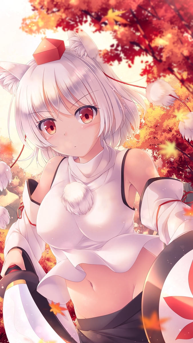 This is a pixiv picture whose title is 秋めく妖怪の山.