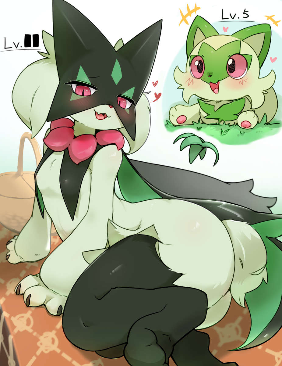 This is a pixiv picture whose title is 進化してから大胆な事してくるようになった猫.