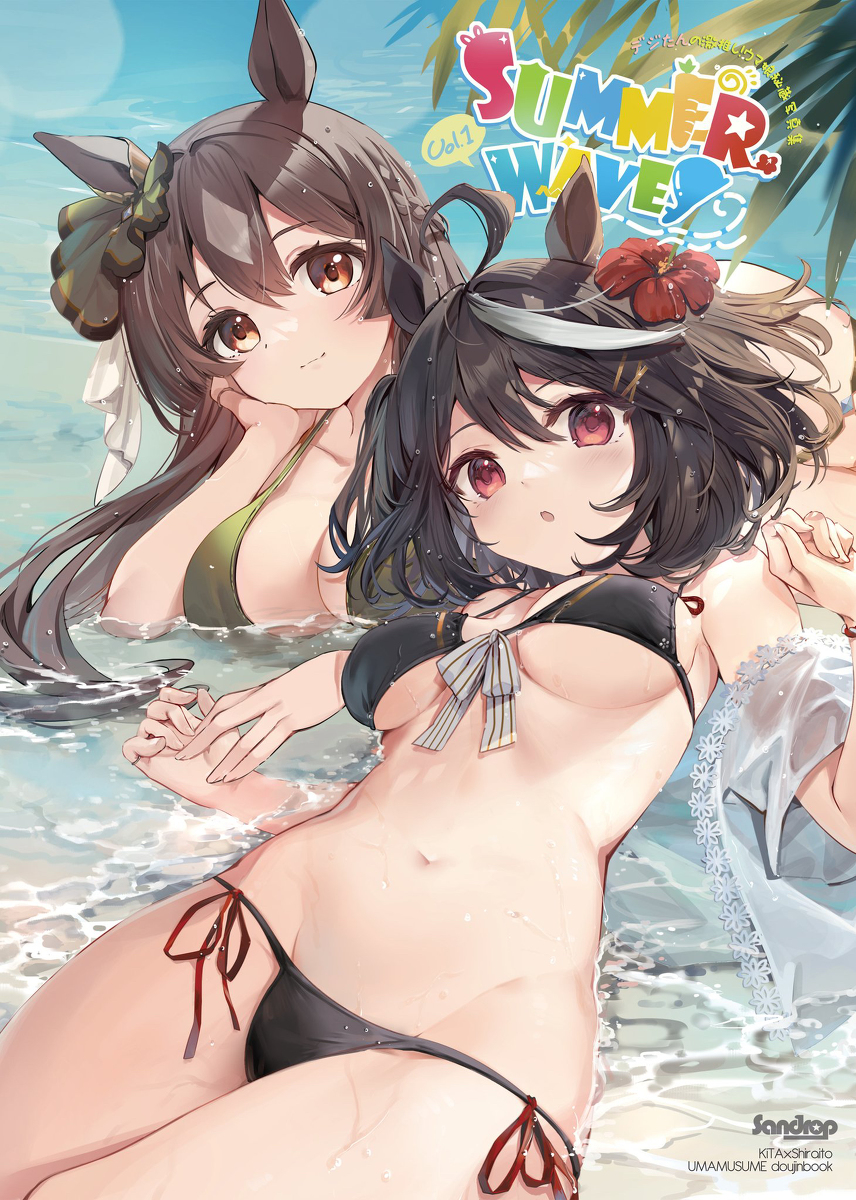 This is a pixiv picture whose title is 【C101新刊】SUMMER WAVES.