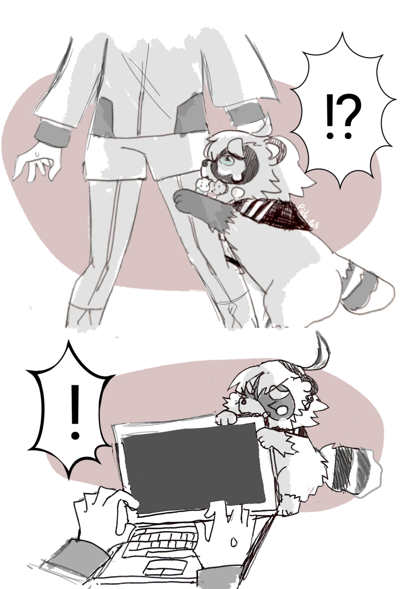 This is a pixiv picture whose title is タヌキの涙.