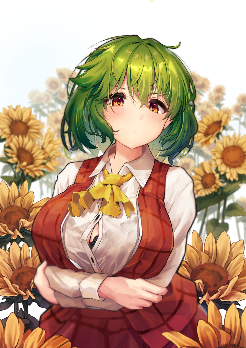 This is a pixiv picture whose title is ゆうかりん！.