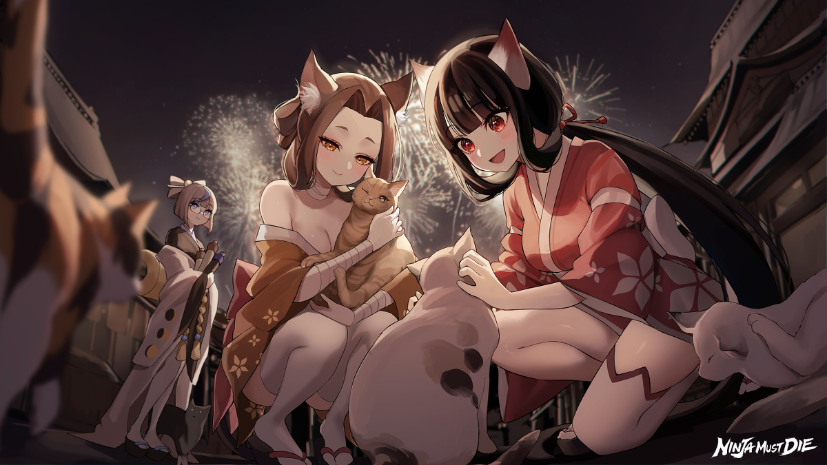 This is a pixiv picture whose title is 猫と花火.