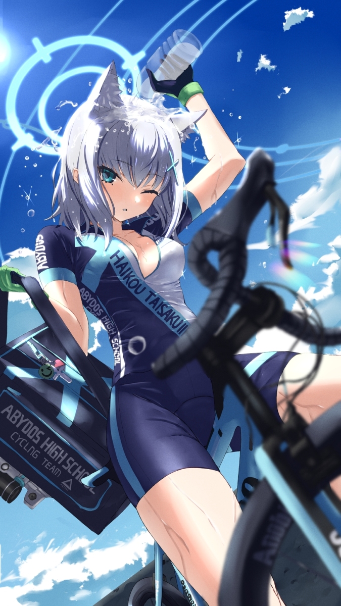 This is a pixiv picture whose title is シロコ.