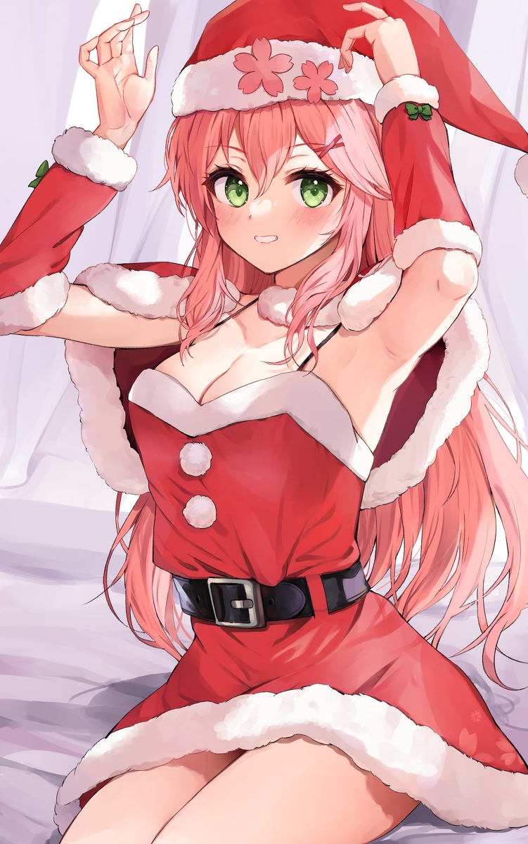 This is a pixiv picture whose title is サンタみこち.