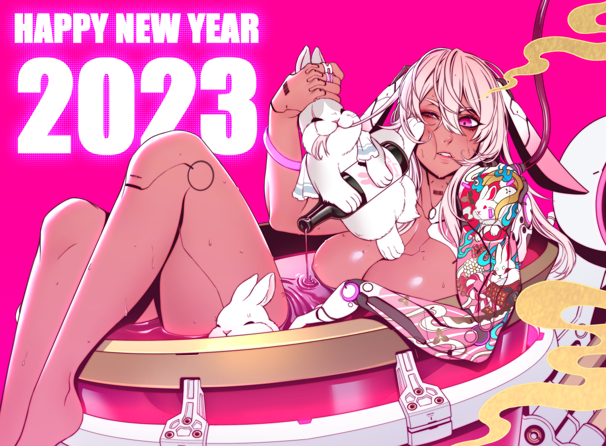 This is a pixiv picture whose title is 2023.