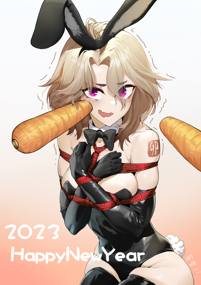 This is a pixiv picture whose title is 2023.