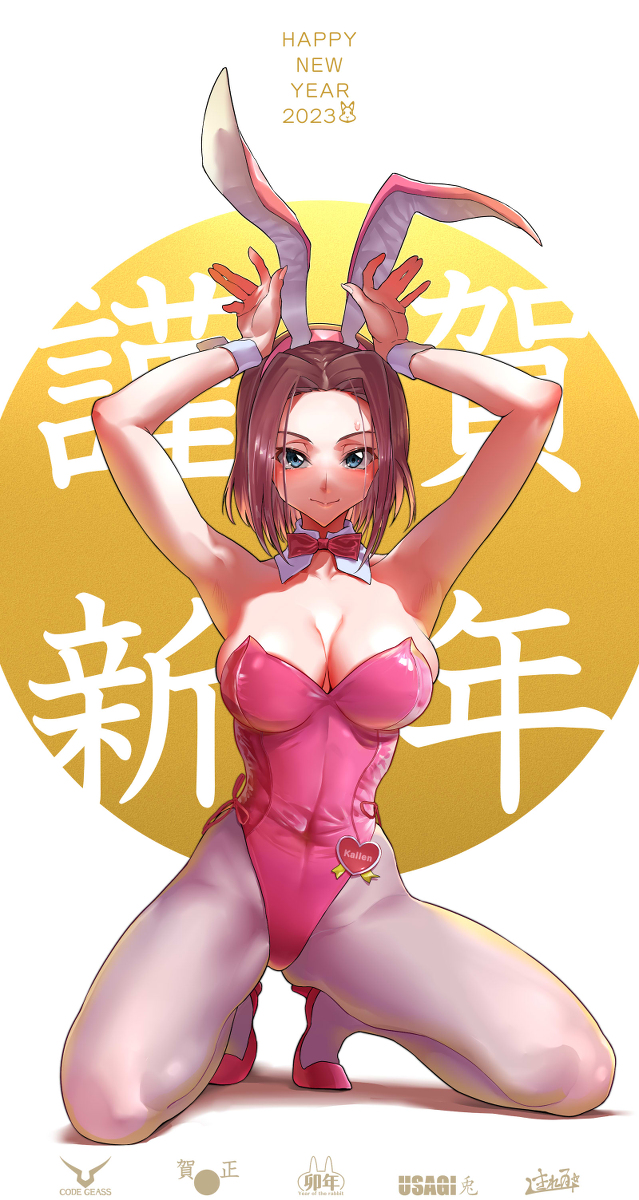 This is a pixiv picture whose title is 🎍謹賀🐰新年🎍.