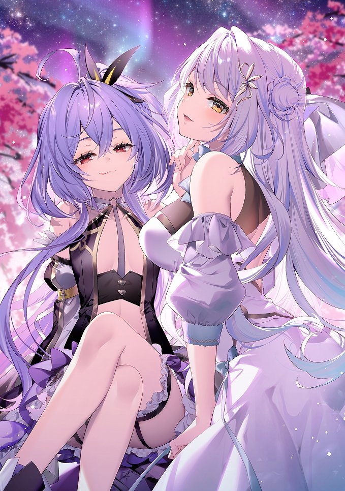 This is a pixiv picture whose title is 素敵な夜をあなたに.