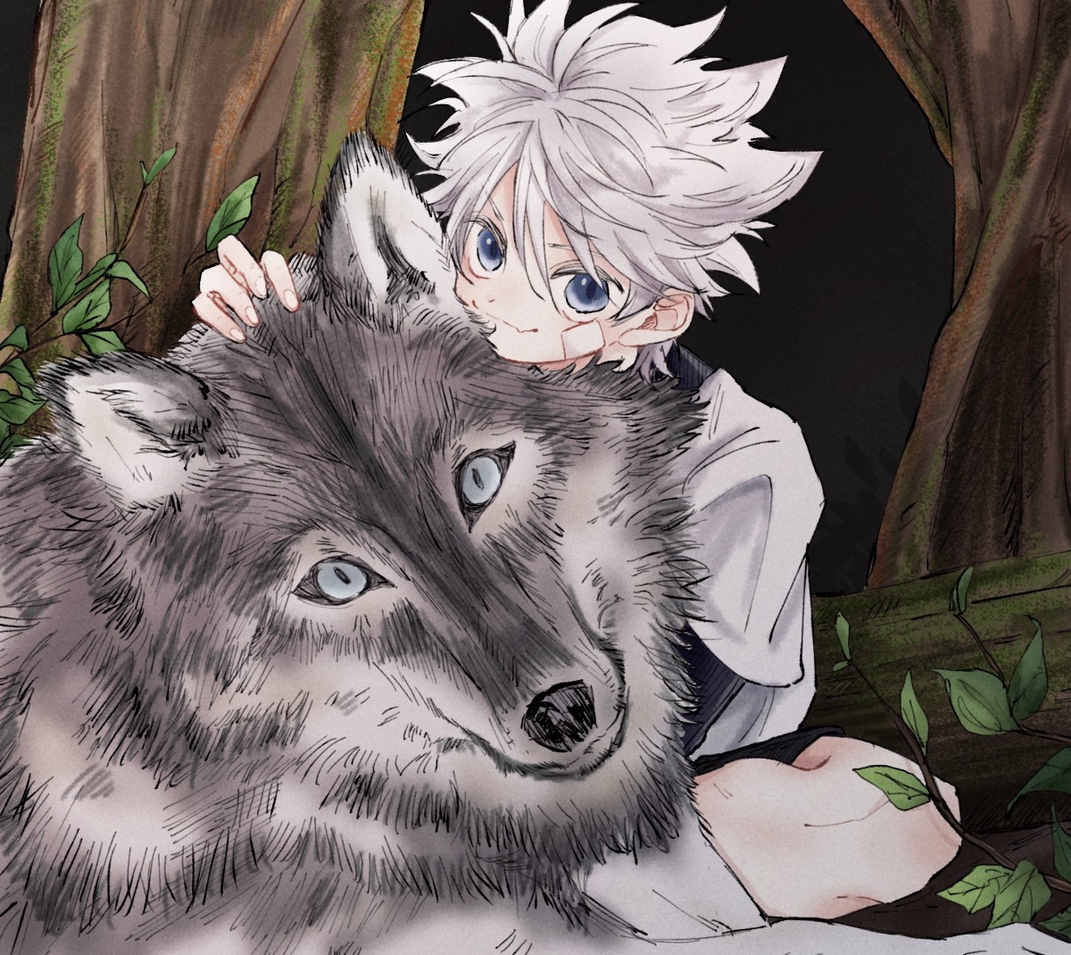 This is a pixiv picture whose title is 🐺.