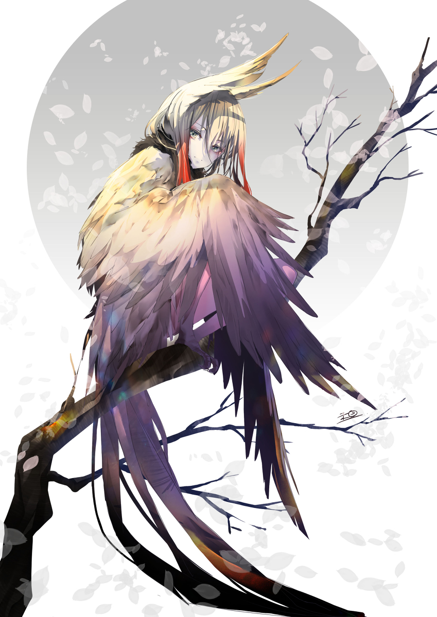 This is a pixiv picture whose title is 鳥娘.