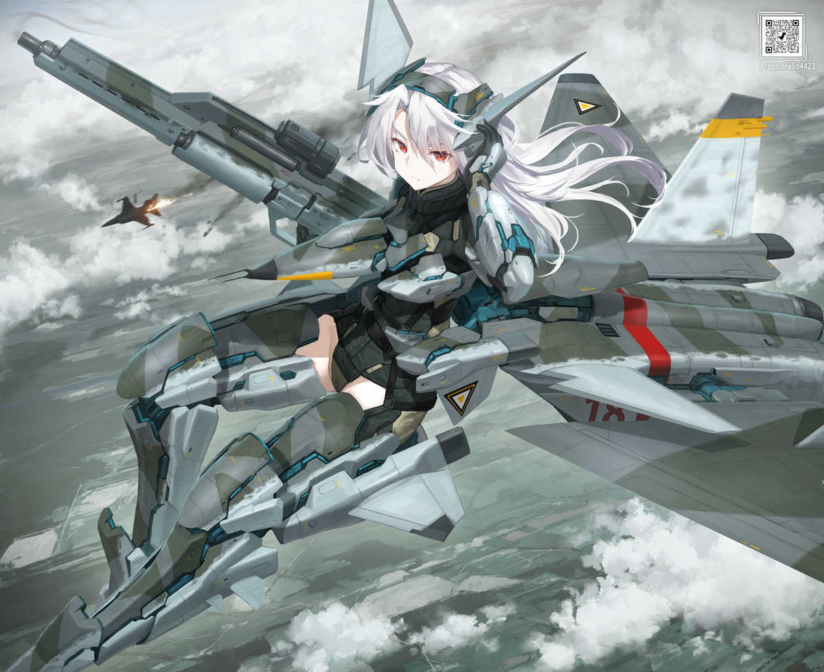 This is a pixiv picture whose title is MiG-1.44 ベルカ空軍所属機.