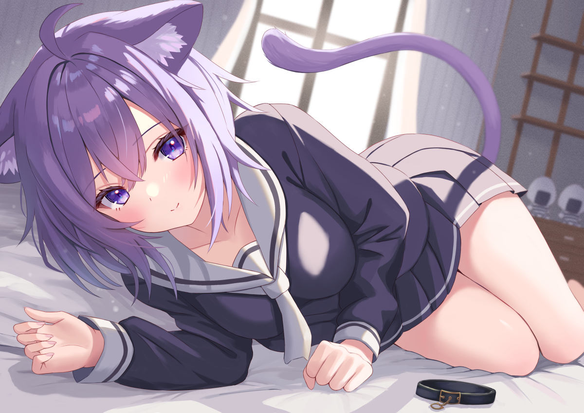This is a pixiv picture whose title is With You.