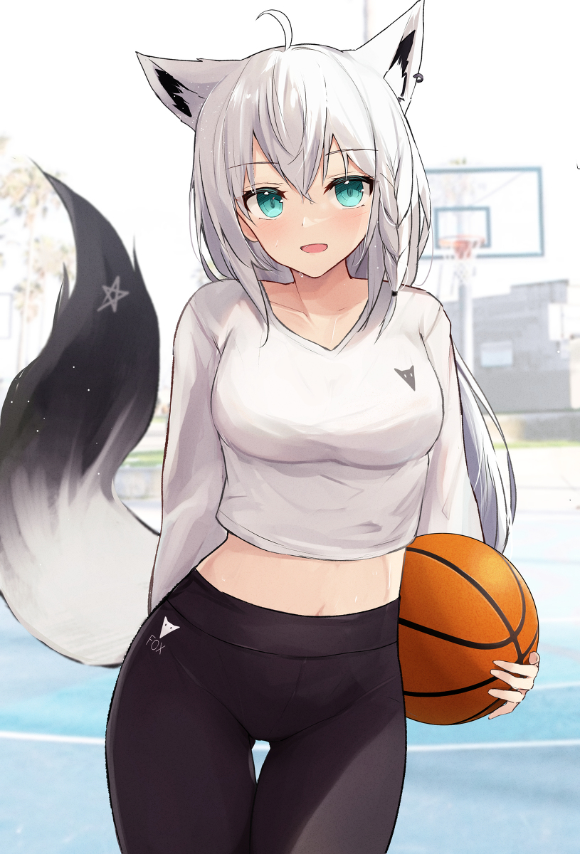 This is a pixiv picture whose title is 🏀🦊.
