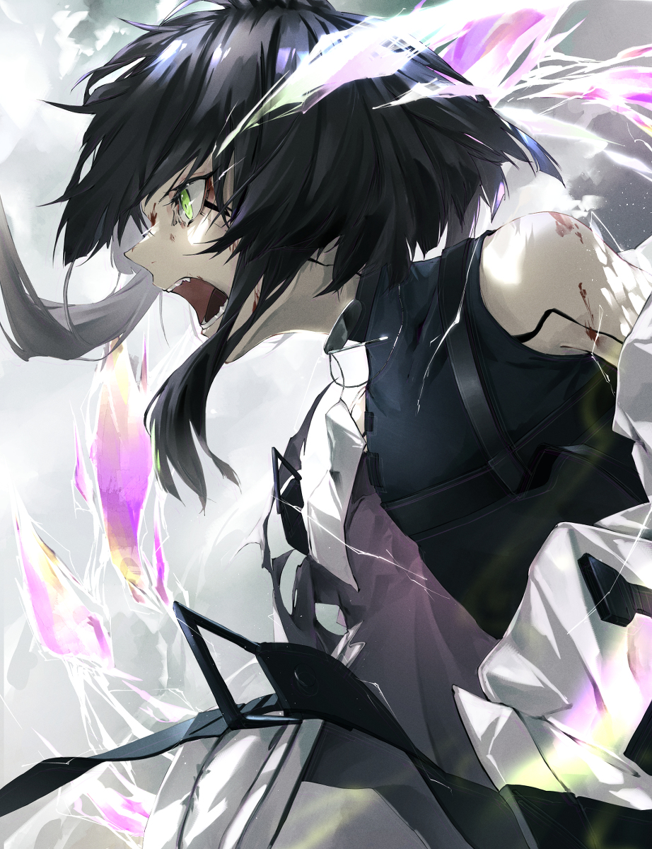 This is a pixiv picture whose title is 逆鱗.