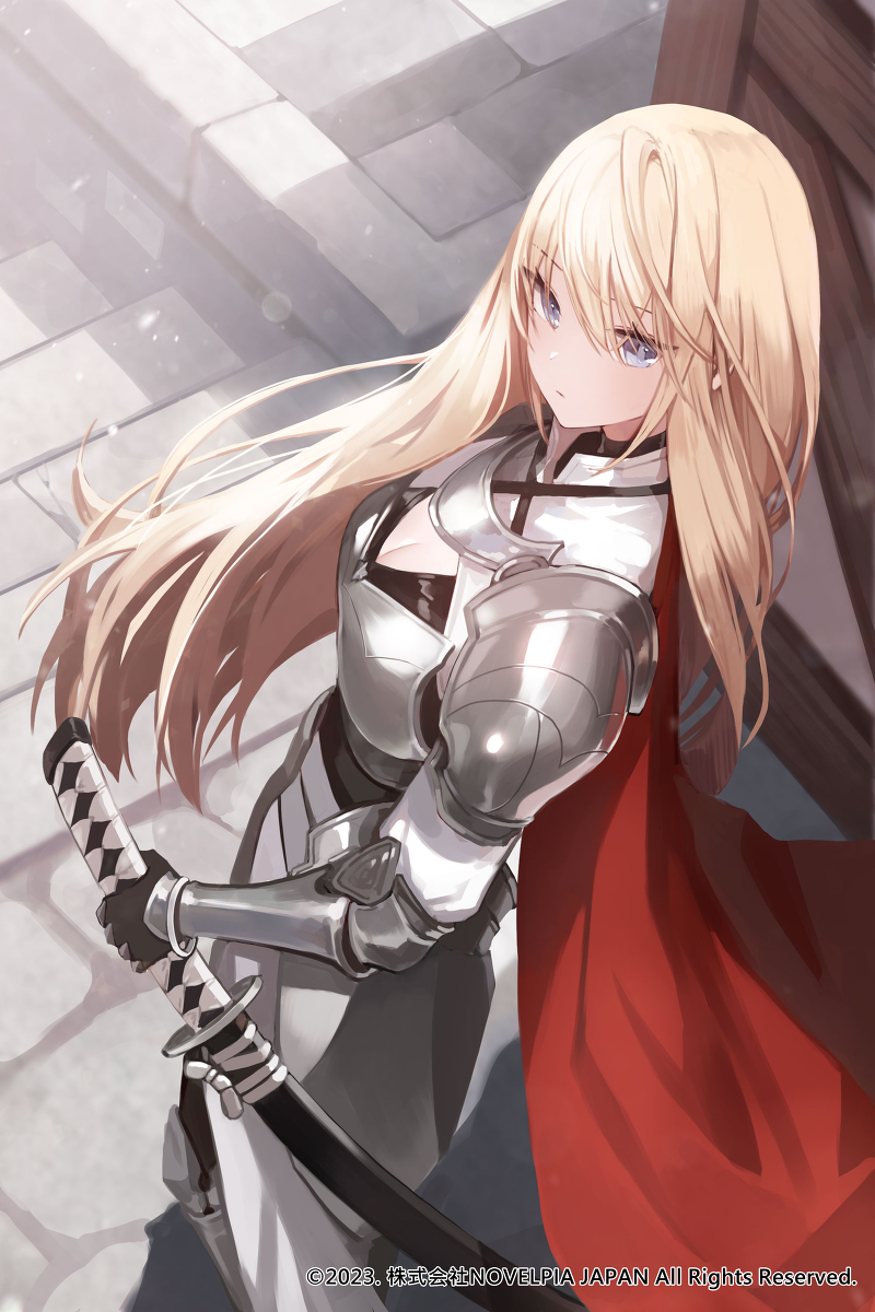 This is a pixiv picture whose title is 【仕事絵】史上最高のSランク冒険者.