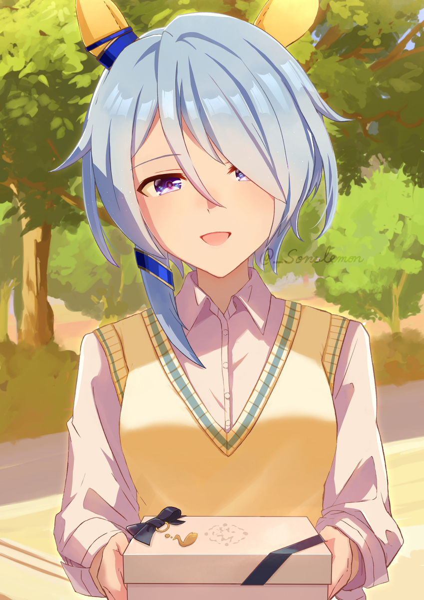 This is a pixiv picture whose title is ケイエスミラクルからの特別チョコ(幻覚).