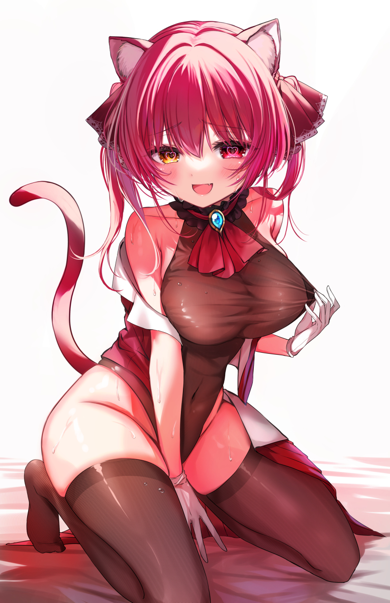 This is a pixiv picture whose title is ねこ船長.