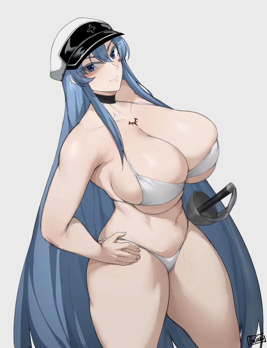 This is a pixiv picture whose title is Esdeath bikini.