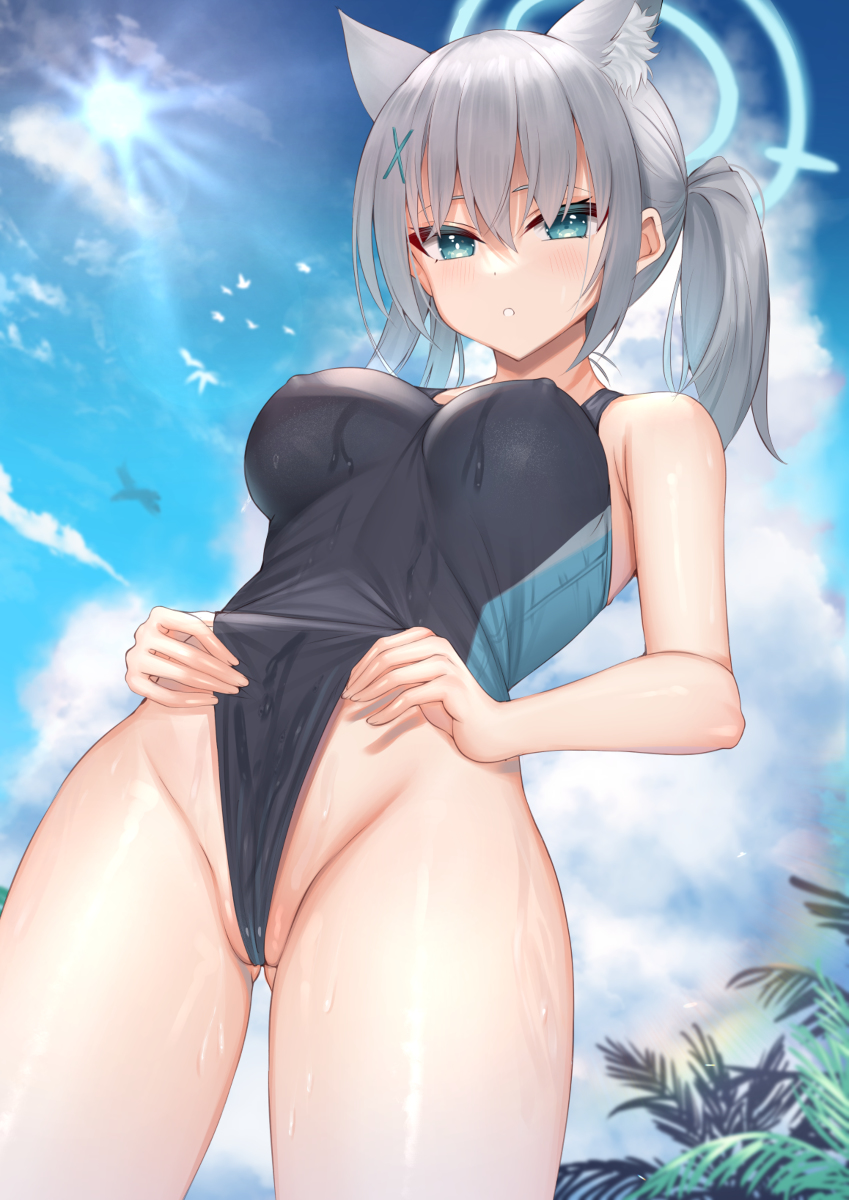 This is a pixiv picture whose title is シロコ.