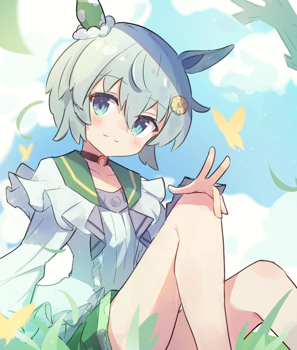 This is a pixiv picture whose title is スカイ！.