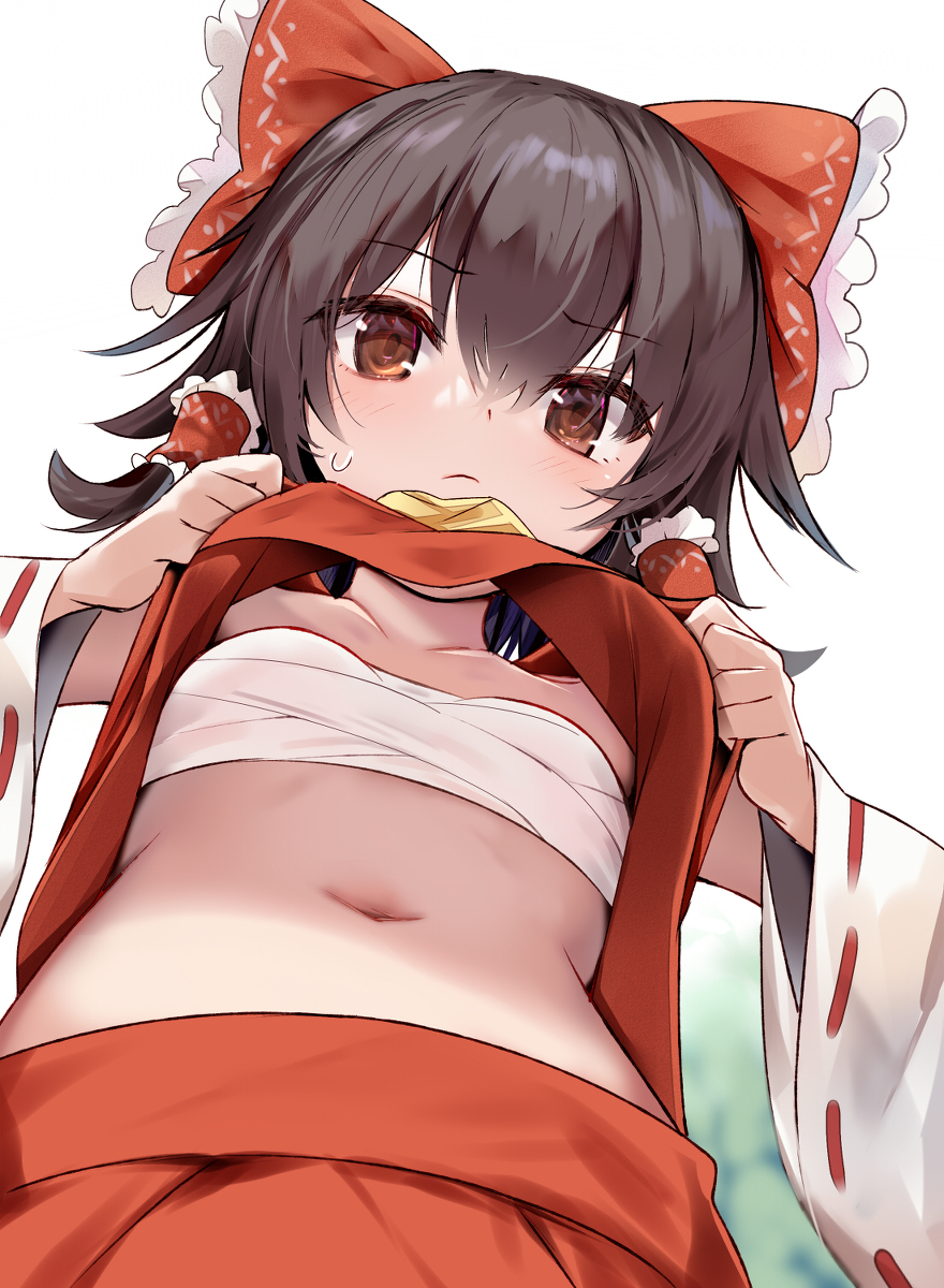 This is a pixiv picture whose title is みこのすきま.