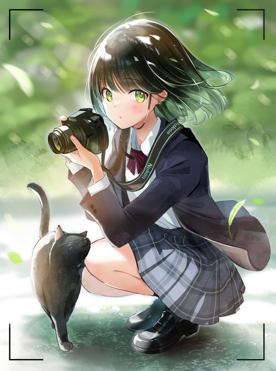 This is a pixiv picture whose title is 「野良猫に好かれる写真部の先輩」.