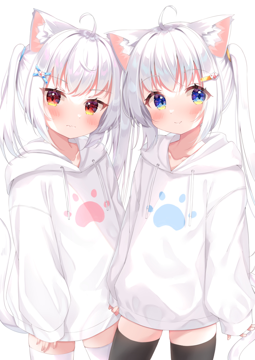 This is a pixiv picture whose title is パーカー白ネコ姉妹.