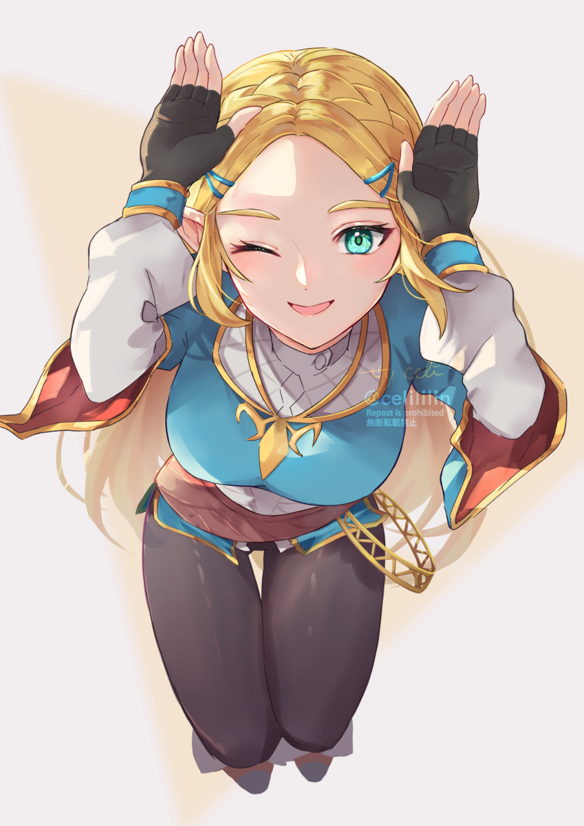 This is a pixiv picture whose title is ゼルちゃん.