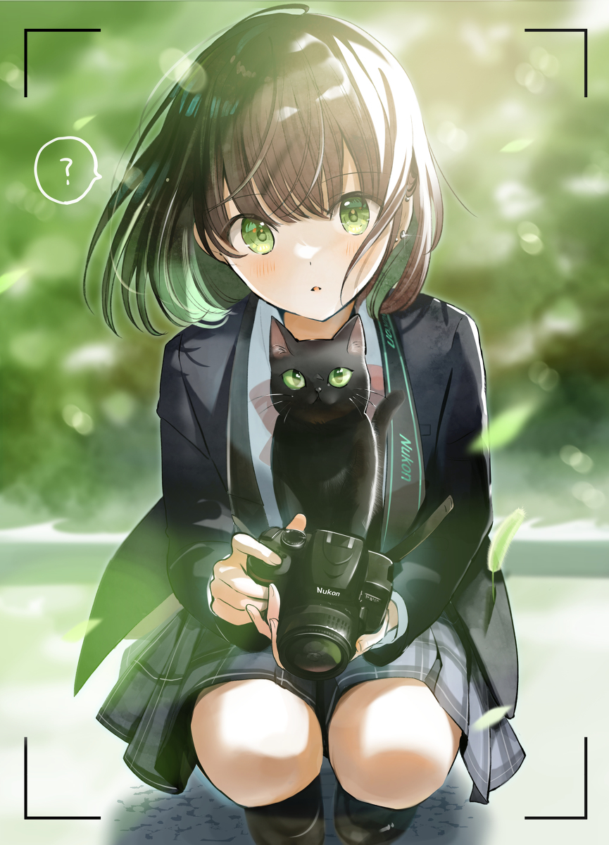 This is a pixiv picture whose title is 「猫に似ている写真部の先輩」.