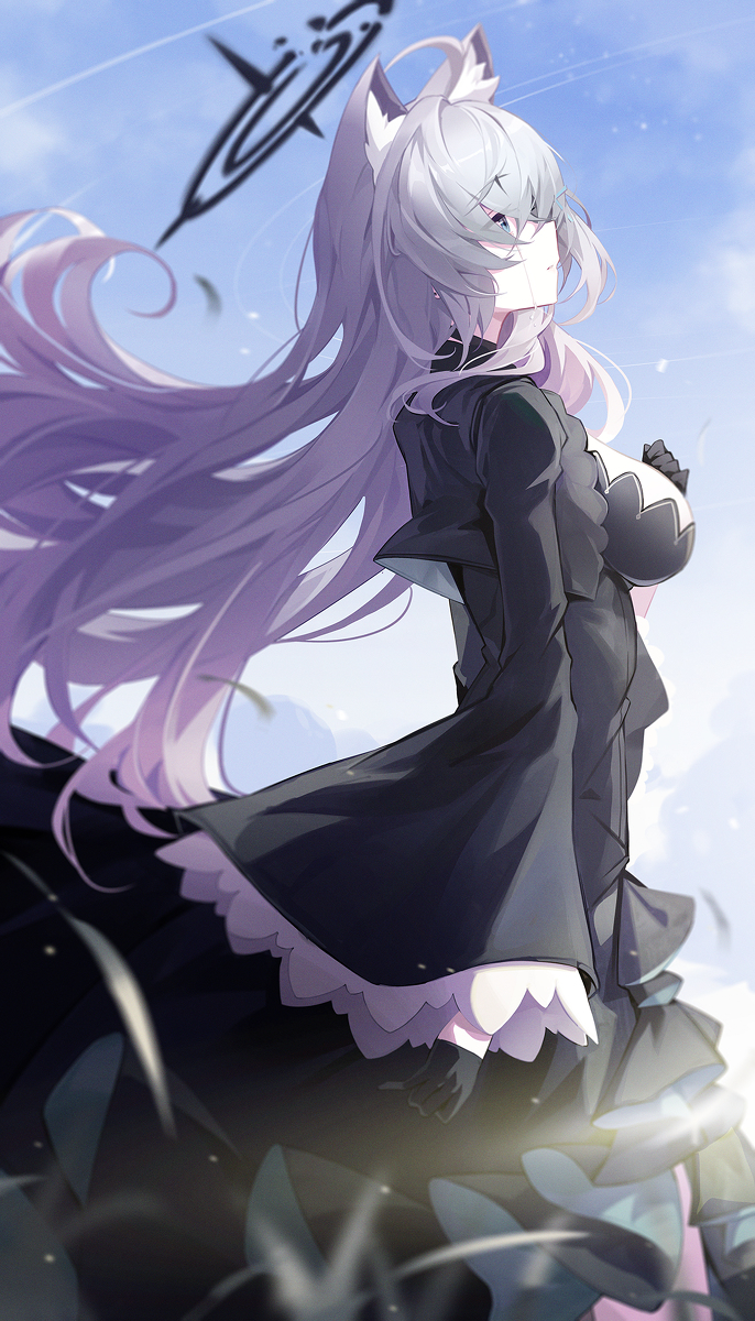 This is a pixiv picture whose title is シロコテラー.