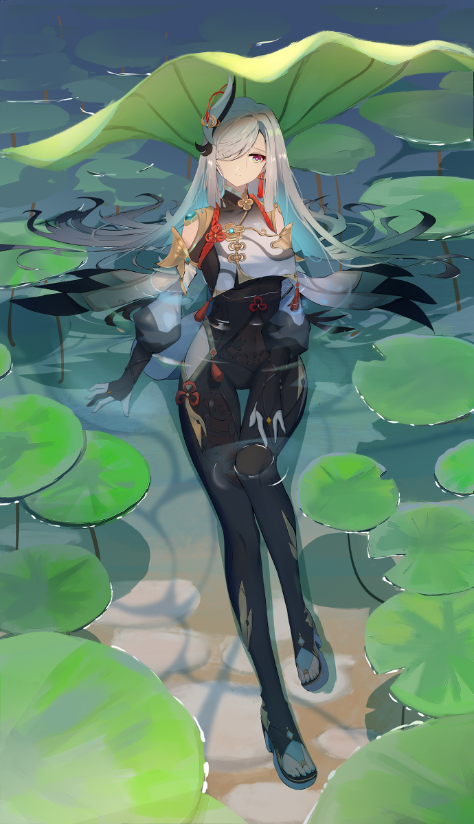 This is a pixiv picture whose title is 申鹤.