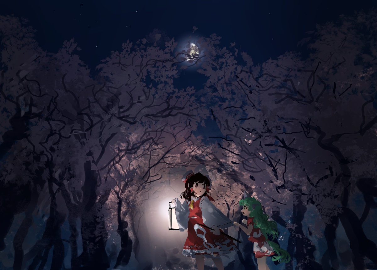 This is a pixiv picture whose title is 夜桜.