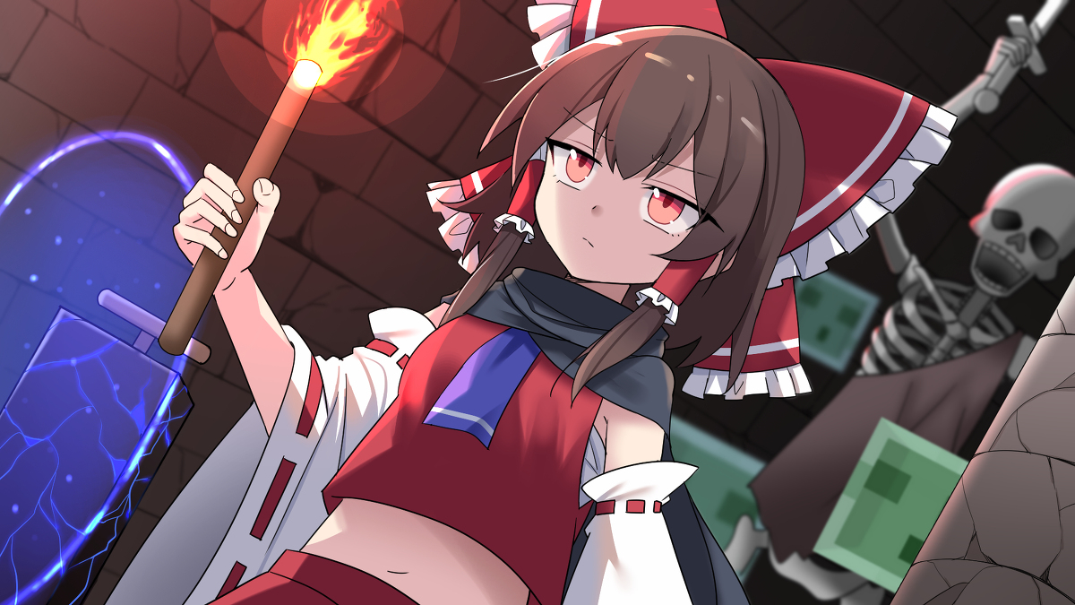 This is a pixiv picture whose title is 霊夢の挑戦.