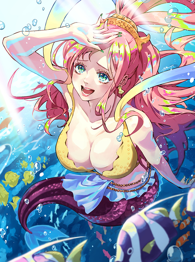 This is a pixiv picture whose title is しらほし（ONE PIECE）.